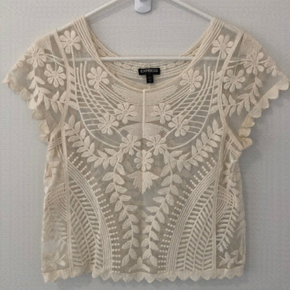 Express Sheer Embroidered Top
